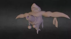 Shark- Pirate