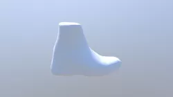 Shoe Scan 1000 Vertices