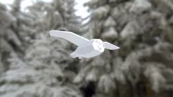 Snowy Owl