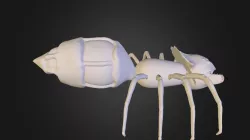 Spider Creature Model