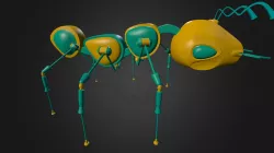 Tech Ant