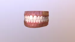 Teeth