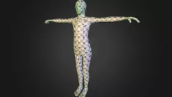 Test_Body_V3