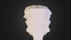 Test1
