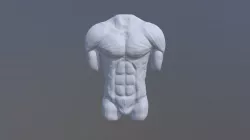 Torso