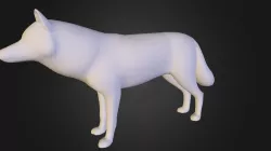 Wolf Model