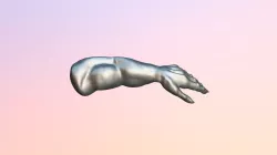 Arms 2