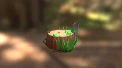 Army Ant Camp