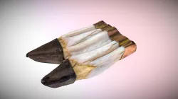 Bison tooth ornament