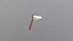 Bonesplitter Model