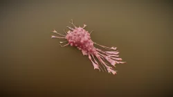 Cancer cell
