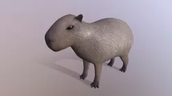 Capybara
