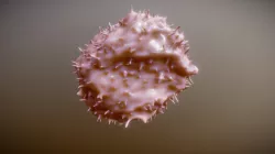 Car T-cell