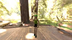 Cedar
