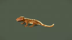 Crested Gecko