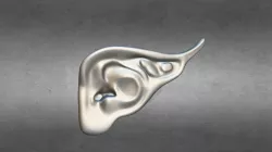 Ear - Elf 2