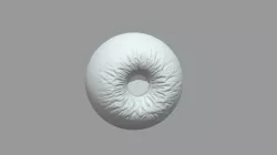 Eyeball