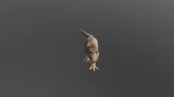 Free T Rex Model