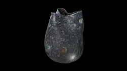Glass Vase