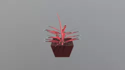House Plant 2