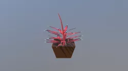 House Plant
