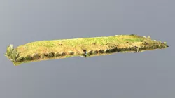 Kongehojen