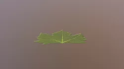 Leaf