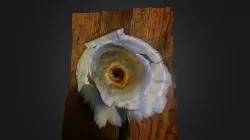 Lens Blur model
