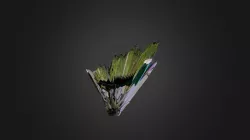 Lens Blur model