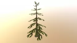 Low Poly Pine Tree