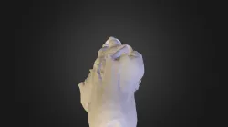 Model 13-16ap