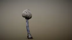 Mushroom_190307