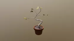 Plant Project