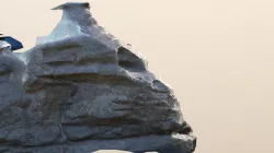 Romanian Sphinx 1