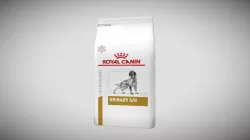 Sac-Urinary-Chien