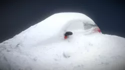 Snowmobile :)