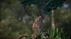 Swamp tree