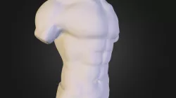 Torso