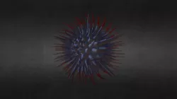 virus