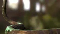 Anaconda
