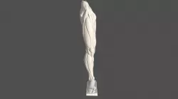 anatomia pierna derecha