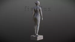 Average Woman