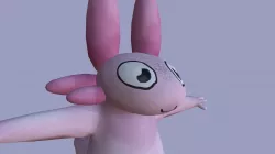 Axolotl