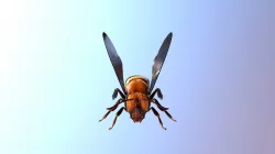 Bee
