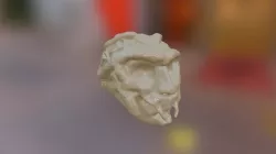 Bonehead