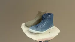 bota