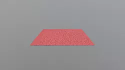 Carpet