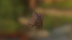 Cleanmesh