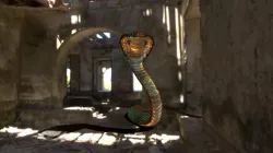 Cobra