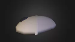 Computer Mouse